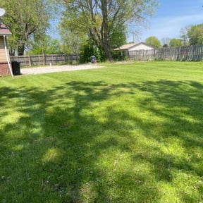 yard care by Mitchell's Home Solutions reviewed on August 20, 2025