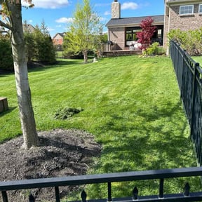 landscaping services by CasaLux Outdoor Solutions LLC reviewed on November 19, 2025