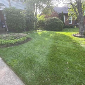 landscaping by Your Way Lawn & Landscaping reviewed on August 17, 2025