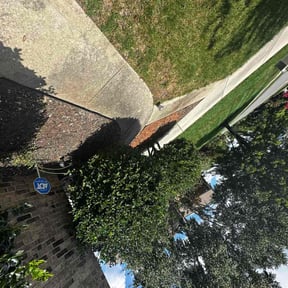 Flower Bed Weeding by McDaniel and son reviewed on December 15, 2025