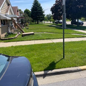turf care by D&D Reliable Services LLC reviewed on April 19, 2024