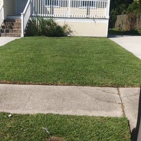 Bush Trimming by Ocampo Lawn care reviewed on August 20, 2025