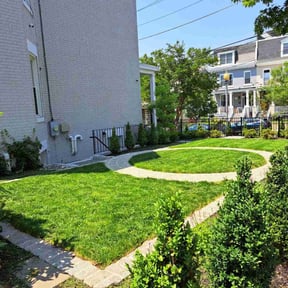 yard care by 4x Lawn Service reviewed on August 18, 2025