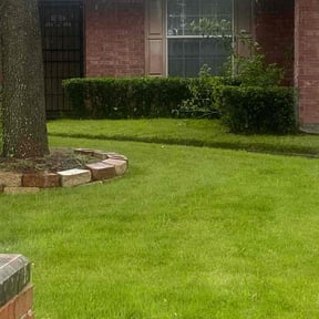 Bush Trimming by Ledezma reviewed on October 21, 2025