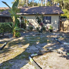 Bush Trimming by MNS Services reviewed on February 27, 2025