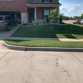 yard maintenance by 100% Landcare reviewed on August 15, 2025