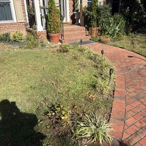 Bush Trimming by Naturefirst Landscapes LLC reviewed on November 6, 2025