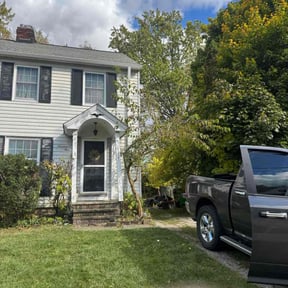 Bush Trimming by M &amp; F Landscaping Services LLC reviewed on November 9, 2025