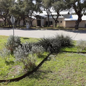 Bush Trimming by D&amp;R  Landscaping/Junkrremoval reviewed on December 18, 2023