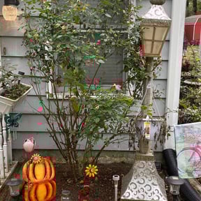 Flower Bed Weeding by Grounds Team Landscaping LLC reviewed on August 19, 2025