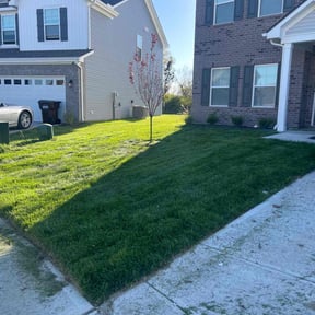yard maintenance by Thomas Enterprise LLC reviewed on August 19, 2025