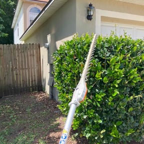 Bush Trimming by Howardpaytonllc reviewed on August 16, 2025
