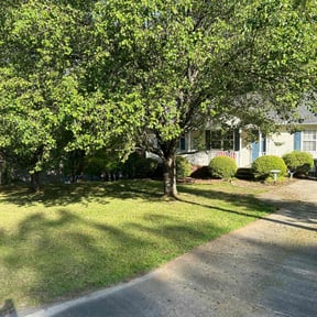 landscaping by Chealey Solutions LLC reviewed on August 16, 2025