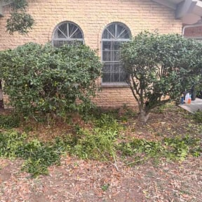 Bush Trimming by Helping hands reviewed on April 9, 2026