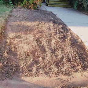 Flower Bed Weeding by Jordan&#039;s Lawn Service reviewed on November 27, 2025