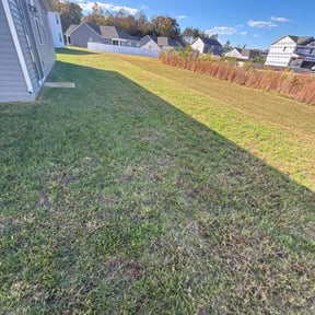 Flower Bed Weeding by Chai reviewed on October 20, 2025