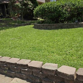 yard care by Alfas landscaping reviewed on August 21, 2025