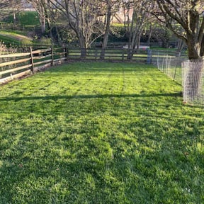 yard service by Curts Home Improvement reviewed on October 19, 2024