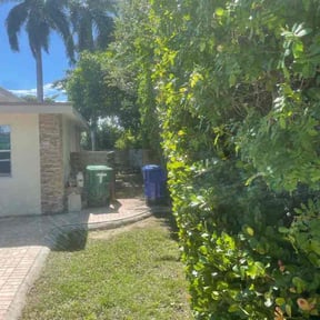 Bush Trimming by BJ Mowing LLC reviewed on August 15, 2025