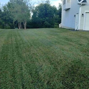yard care by Gospel Greens reviewed on August 20, 2025