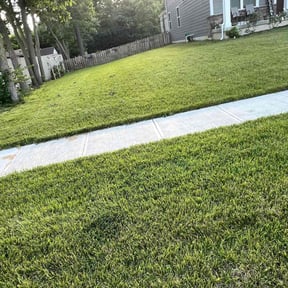 yard maintenance by Savage lawns reviewed on August 18, 2025