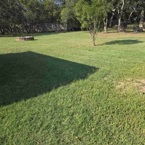 turf care by 66landscaping LLC reviewed on April 26, 2024