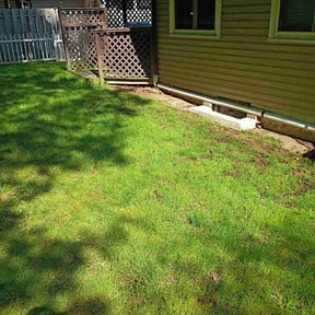 Leaf Removal by Jose Vigo reviewed on June 19, 2026