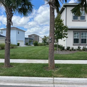 grass cutting by Good Guys Lawn and Fence reviewed on August 17, 2025