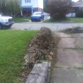 Bush Trimming by Quality Lawn Care reviewed on August 18, 2025