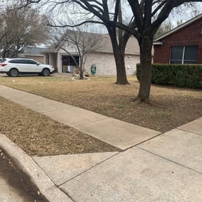 Leaf Removal by Jayes Lawn Adventures reviewed on August 16, 2025