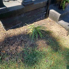 Flower Bed Weeding by DNA hauling grass reviewed on October 24, 2025