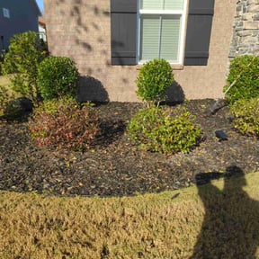 Bush Trimming by New Graze Lawn Care Services LLC reviewed on November 21, 2025