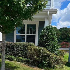 Bush Trimming by james lawn service reviewed on August 16, 2025