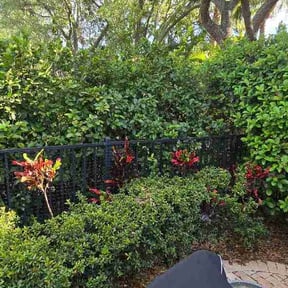 Bush Trimming by Quality Pro. Construction reviewed on April 16, 2026