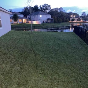 grass maintenance by I Do It All reviewed on September 20, 2023