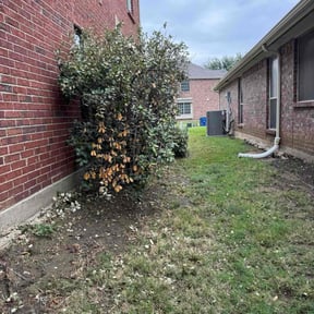 Bush Trimming by Nueva era landscaping reviewed on October 19, 2020