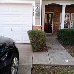Bush Trimming by Affordable Lawn Care reviewed on August 20, 2025