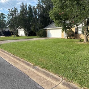 turf care by Design Cuts Landscaping LLC reviewed on August 19, 2025