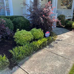 Mulching by Picture perfect lawn care N Property specialists reviewed on August 19, 2025