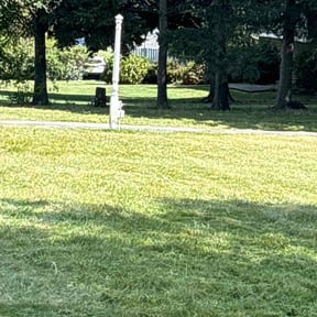 lawn service by Js Lawn Care reviewed on April 20, 2024