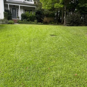 landscaping services by Royal Scenery LLC reviewed on August 18, 2025
