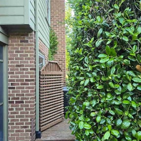 Bush Trimming by Wood Duck Lawn Service reviewed on June 10, 2026