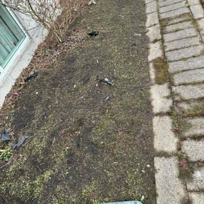 Flower Bed Weeding by John&#039;s Lawn Care reviewed on November 10, 2025