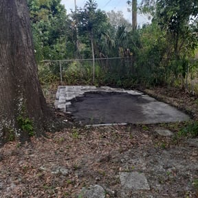 Leaf Removal by Joe's Tree &amp; Lawn Services reviewed on September 21, 2025