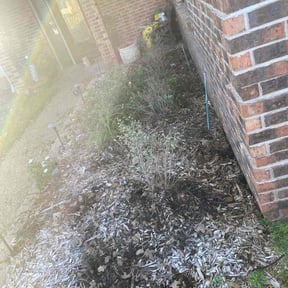 Flower Bed Weeding by Lawn Sharks reviewed on December 29, 2025