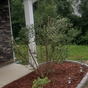 Bush Trimming by A Man and His Machines Lawn Services LLC reviewed on August 15, 2025