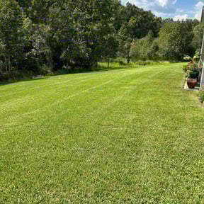 yard care by Deal's Lawn Maintenance reviewed on December 30, 2025