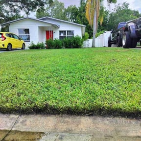 grass maintenance by Dorman property services reviewed on August 19, 2025