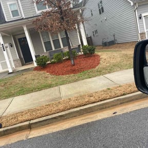 Flower Bed Weeding by IMPAKT Lawn Solutions reviewed on August 21, 2025