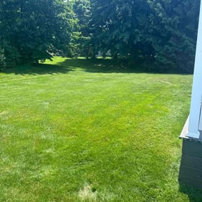 landscape maintenance by Re Image lawn care reviewed on August 18, 2025